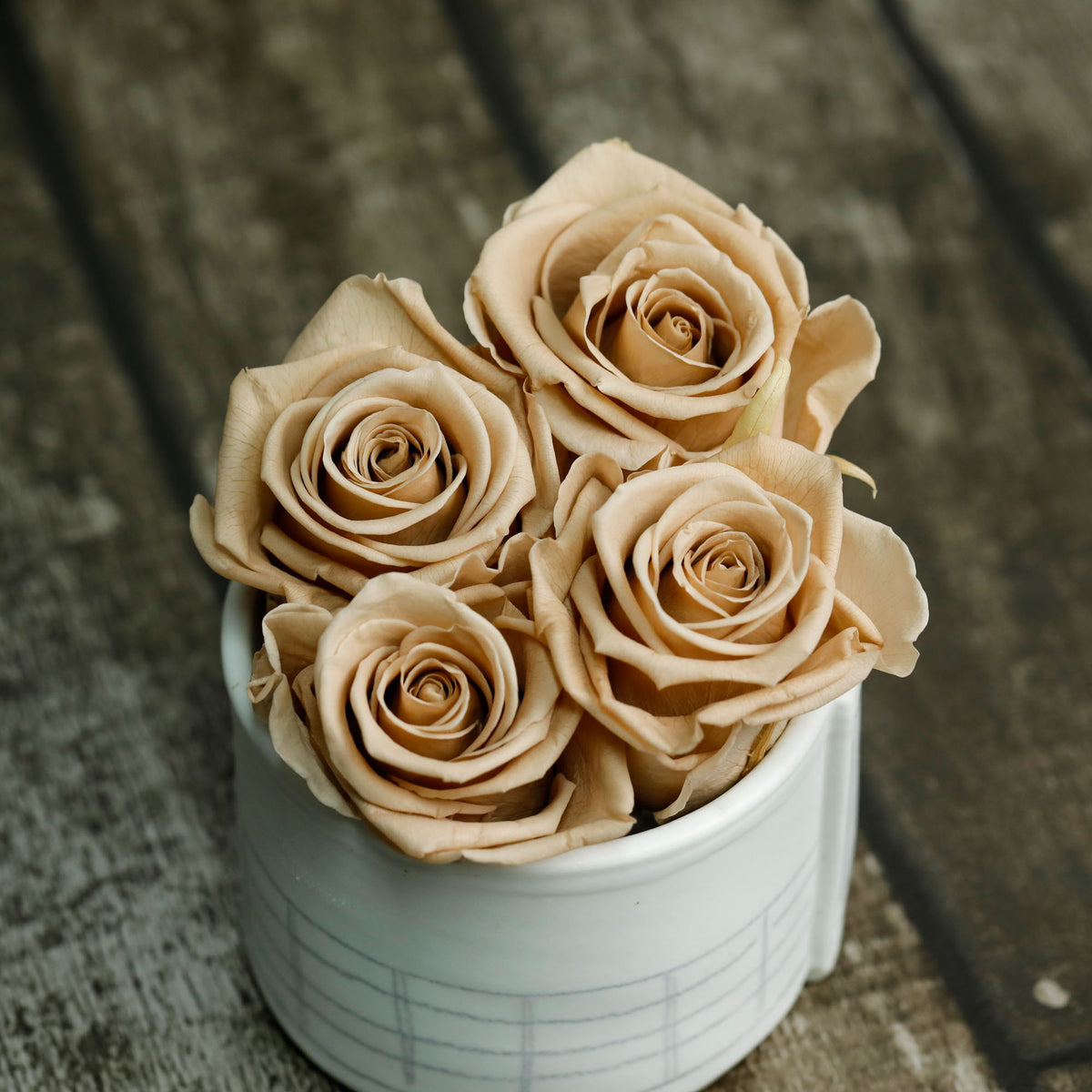 Roses naturelles stabilisées toffee (par 6)