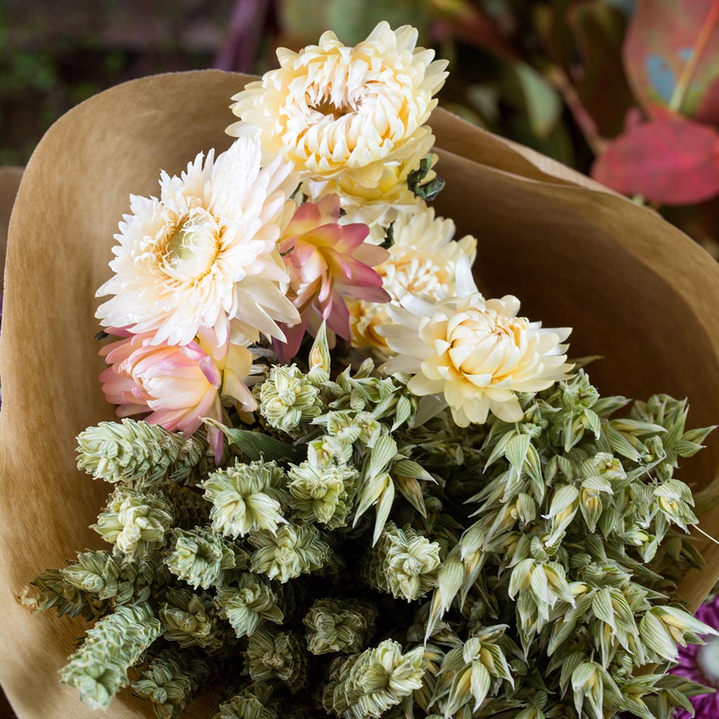 Bouquet séché (blé, barbu et rhodanthe)