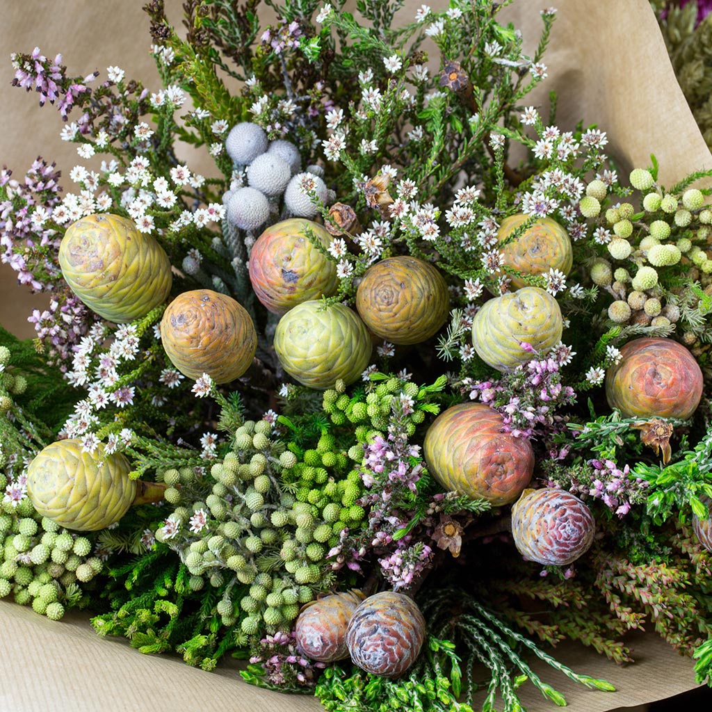 Bouquet de fleurs séchées