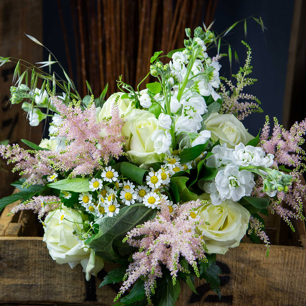 Astilbe rose (10 tiges)