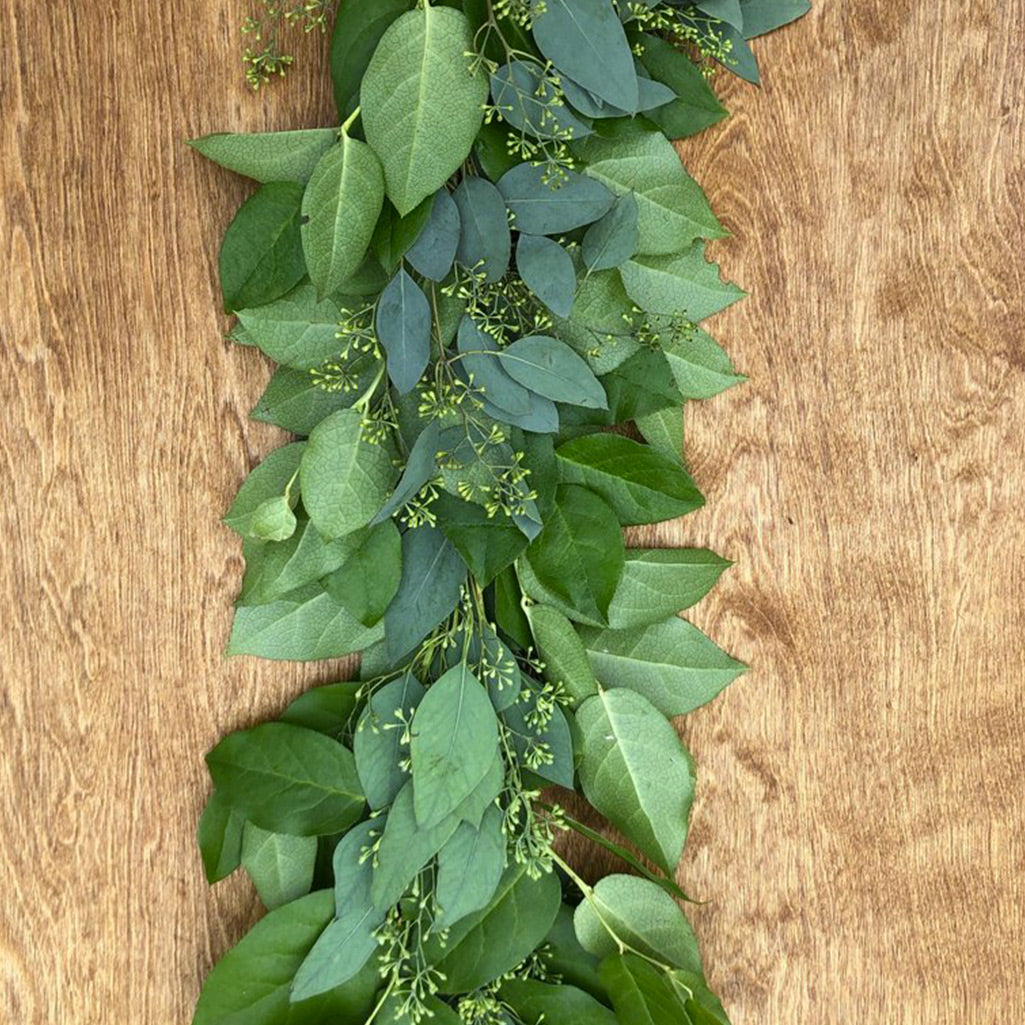 Salal (10 tiges)